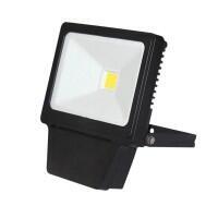 Прожектор светодиодный LED 6000K 50W COB HAIGER